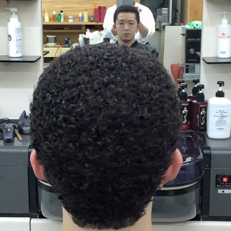 Man Perm, Tight Curly Hair, Bad Eyebrows, Mens Perm, Perm Rods, Permed Hairstyles, Perm, Curly Hair, Eyebrows