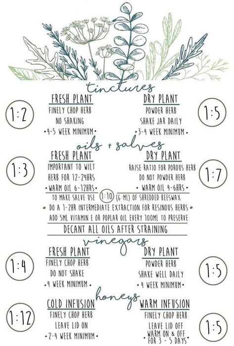 i made this printable cheat sheet for making tinctures, oils, vinegars & honeys when i was in herbalism school! i hope it can be of some use to any of you too! :) #doctor #health #apothecary #herbal #recipe #medicine #healthlifestyle #affiliate Making Herbal Tinctures, Making Tinctures Herbal Medicine, How To Make Herbal Tinctures, Medicinal Herb Tinctures, Herbal Study Sheet, How To Be A Herbalist, Appalachian Herbalism, Tincture Dosage Chart, How To Make Tinctures