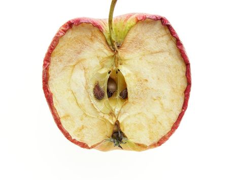 Divided apple. Close-up of the inside of a divided wrinkled apple , #Ad, #apple, #Divided, #Close, #wrinkled, #divided #ad Apples Photography, Apple Stock, Digital Design Trends, Growth And Decay, Gcse Art Sketchbook, Photography Collage, Apple Art, Apple Fruit, Apple Design