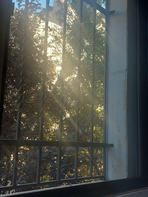 Trees , sun , early morning, paradise , window view , dreamy vibe , dreamy aesthetic, tree magic wooh, early bird Morning Bird Aesthetic, Early Morning Aesthetic Window, Early Bird Aesthetic, Vision Board House, Aesthetic Window View, Early Morning Aesthetic, Sunrise Apartment, Aesthetic Tree, Board House