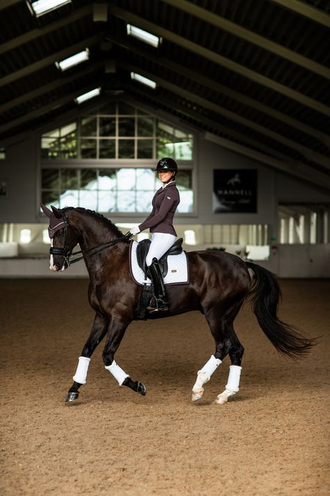 Equestrian Aesthetic Dressage, Dressage Horses Photography, Horse Riding Photography, Dressage Aesthetic, Dressage Photography, Dressage Videos, Olympic Equestrian, Equestrian Outfit, Equestrian Dressage