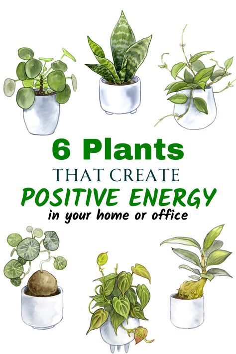 Calming Indoor Plants, Plants For Positive Energy At Home, Positive Energy Plants For Home, Plants To Have In Your Home, Calming Plants, Inside House Plants, Create Positive Energy, Plant Jungle, Sage Plant