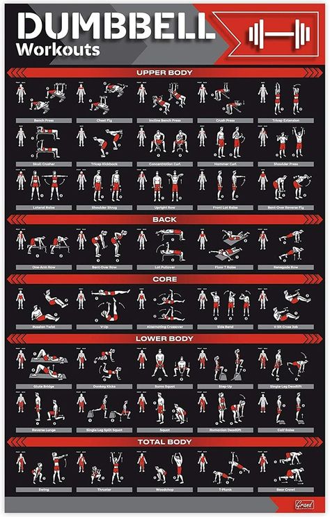 Dumbbell Workout Plan, Exercise Poster, Gym Posters, Posters Motivational, Dumbbell Workouts, Full Body Dumbbell Workout, Trening Sztuk Walki, Gym Workout Planner, Dumbell Workout