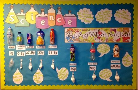 Poster showing sugar content of drinks. Water, as usual, comes out as zero. French Frys, Playschool Ideas, Sugar In Drinks, Kids Science Fair Projects, Science Fair Projects Boards, Food School, Cool Science Fair Projects, Drink Display, Biology Classroom