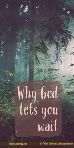 Why God lets you wait: Ever wonder why God lets us go through trials? Or why it takes so long for an answer to your prayers? Read more at gloriousmomblog.com Godly Man, Mom Blog, Praise God, Christian Living, Christian Inspiration, Mom Blogs, Christian Life, Christian Faith, God Is Good