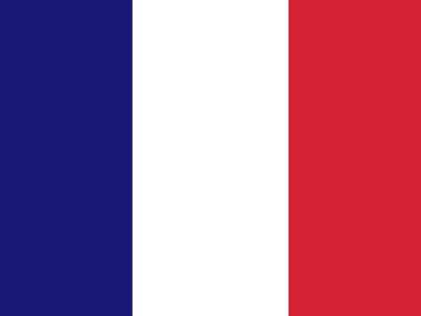 the tricolor flag of France. The national motto of France is liberté, egalité, fraternité. Tricolor Flag, Flag Of France, Number Words Worksheets, Tricolour Flag, French Wallpaper, Logo Wallpaper Hd, Home Lock Screen, France Flag, Bloom Winx Club