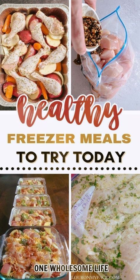 Diy Frozen Skillet Meals, Easy Frozen Dinner Meals, Freezer Meals With Broccoli, Freezer Meals Scalloped Potatoes And Ham, Freezer Prep Meals Make Ahead, Chicken Enchilada Casserole Freezer Meal, Freezer Dinners Make Ahead Healthy, Premade Dinners Freezer Cooking, Simple Freezer Casseroles