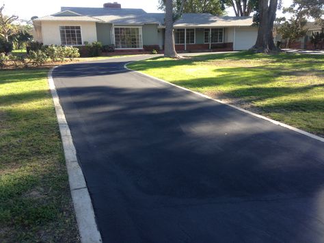 Asphalt Walkway To Front Door, Asphalt Driveway Ideas, Front Sidewalk Landscaping, Tall Narrow Trees, Sidewalk Landscaping Ideas, Side Of Driveway Landscaping, Driveway Landscaping Ideas, Narrow Trees, Statue Of Liberty Facts