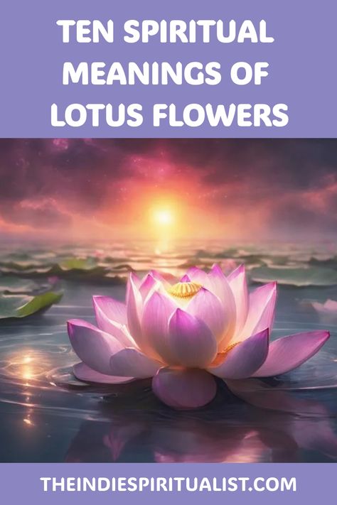 Mystical and transformative, discover the ten spiritual meanings of the lotus flower that reveal paths to enlightenment and personal growth. Flower Of Healing, Lotus Flower Meaning Spiritual, Lotus Flower Color Meaning, Meaning Of Lotus Flower, Lotus Meaning, Lotus Flower Spiritual, Lotus Flower Symbolism, Lotus Flower Colors, Lotus Flower Logo Design