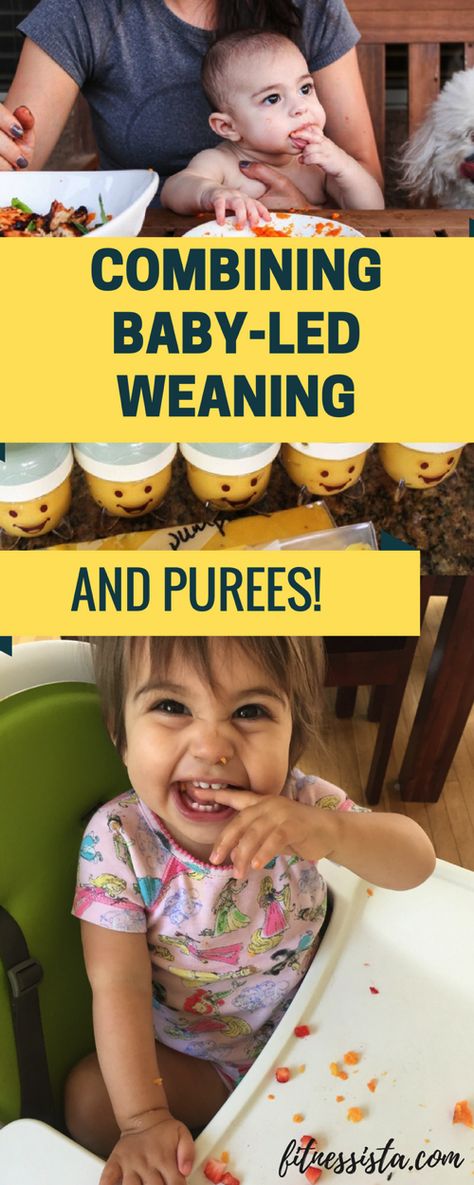 Baby Pureed Carrots, Baby Led Weaning First Foods, Baby Led Feeding, Diy Baby Food, Infant Care, Baby Led Weaning Recipes, Baby First Foods, Mom Group, Baby Weaning