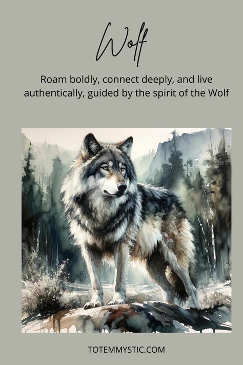 The wolf symbolizes intuition, freedom, and social connections. Seeking freedom in your life? Explore the wolf as your spirit guide. #spirit animal #spiritual meaning #totem #power animal Wolf Meaning, Birth Totem, Spirit Animal Wolf, Spirit Animal Meaning, Spirit Wolf, Native Beauty, Social Connection, Mystical Wolf, Animal Meanings