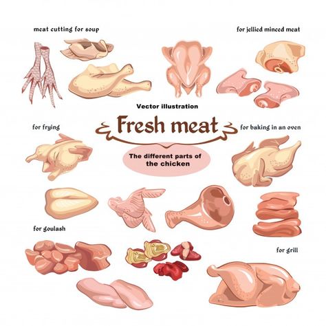 Meat Cooking Chart, Meat Art, Chicken Drawing, Chicken Illustration, Cooking The Perfect Steak, Drawn Icons, Chicken Meat, Raw Chicken, Chicken Art