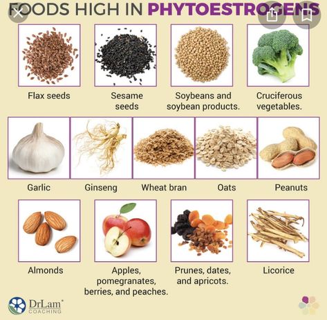 Phytoestrogen Foods, Estrogen Foods, Estrogen Rich Foods, Estrogen Hormone, Low Estrogen Symptoms, Too Much Estrogen, Progesterone Levels, Low Estrogen, Boiled Egg Diet