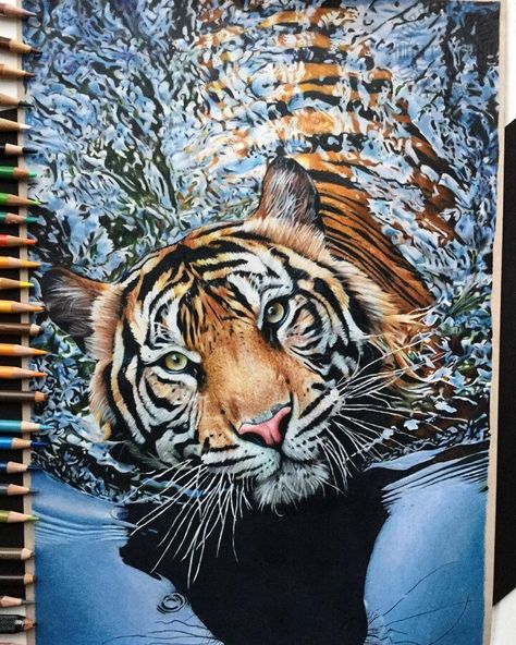 Realism with Color Pencil Drawing Colored Pencil Artwork Ideas, Realistic Animal Drawings, Colored Pencil Art Projects, Tiger Drawing, Prismacolor Art, Realistic Pencil Drawings, Colored Pencil Artwork, Art Painting Gallery, Realistic Paintings