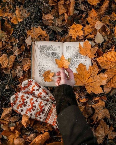 Nature Fall Photography, Aesthetic Fall Book Pictures, Autumnal Book Aesthetic, Fall Vibe Pictures, Autumn And Books Aesthetic, Fall Book Reading Aesthetic, Reading Autumn Aesthetic, Fall Book Photography, Books Nature Aesthetic