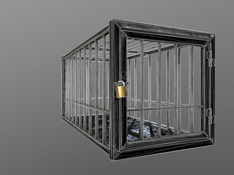 Animal Cage #Animal, #Cage Dungeon Cell, Dungeon Room, Ap Drawing, Animal Cage, Film Props, Steel Cage, Big Animals, Dog Cages, Playroom Furniture