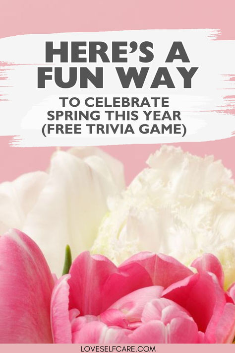 Closeup of Tulips for spring Spring Trivia, Free Trivia Games, Friends Test, Games For Ladies, Ladies Event, Ice Breaker Questions, Flower Games, Event Games, Spring Games