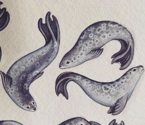 Cute Seal Tattoo, Selkie Aesthetics, Selkie Illustration, Selkie Character Design, Selkie Character, Selkie Tattoo, Selkie Oc, Seal Mermaid, Seal Aesthetic