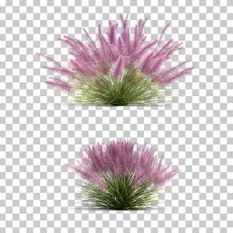 Garden Texture, Flowers Architecture, Landscape Architecture Graphics, Tree Photoshop, Pink Grass, Sacred Garden, Tree Plan, Grass Background, Photoshop Resources