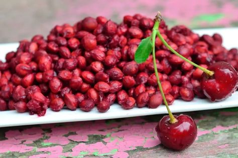 Can You Plant Cherry Pits? » Yes, But It's Not Like Mom Canned Cherries, Backyard Greenhouse, Yes But, Delicious Fruit, Cherry Tree, Preserving Food, Growing Plants, Permaculture, A Tree