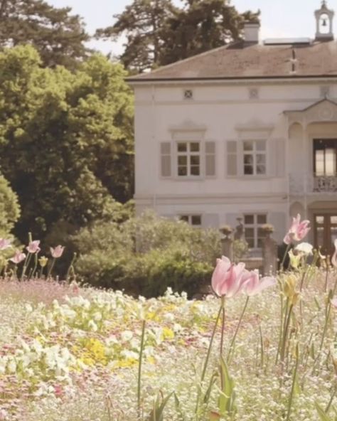 IN HONOR OF SUMMER… OUR MONDAY MOOD BOARD. WHATS YOUR PLAN THIS SUMMER? WE WANNA KNOW! Regency Era Aesthetic, Regency Aesthetic, Era Victoria, Emma Jane Austen, Jane Austen Novels, Emma Jane, Jane Austin, Elizabeth Bennet, Monday Mood