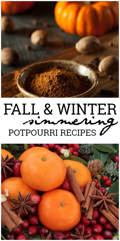 These simmering potpourri recipes will have your house smelling heavenly with the delicious scents of whatever season you are craving. Simmering Potpourri Recipes, Winter Potpourri, Fall Potpourri, Holiday Potpourri, Fall Smells, Homemade Potpourri, Simmer Pot Recipes, Make Your Home Smell Amazing, Stove Top Potpourri