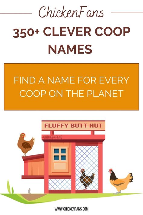 How To Set Up A Chicken Coop, Duck Coop Names, Chicken Coup Decorating Ideas, Chicken Coop Name Signs, Funny Chicken Coop Names, Chicken Coop Design Ideas, Chicken Coop Names Clever, Inside Chicken Coop Decorating Ideas, Chicken Coop Signs Diy