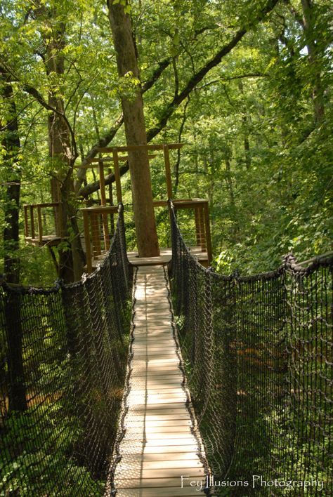 Lynches River State Park - This gorgeous state park features hiking trails, splash pads, parks for the children, as well as a teaching center and canopy walk. And, admittance to this park is absolutely free! Ormanlık Alan, South Carolina Vacation, South Carolina Travel, Most Beautiful Places To Visit, Tree Top, Travel South, Greenville Sc, Beautiful Places To Visit, Charleston Sc