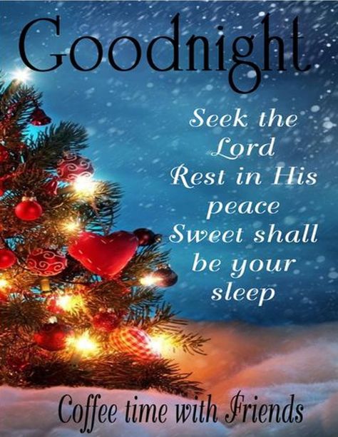 Good Night December Quotes, Goodnight Christmas Images, Good Night Xmas Quotes, Christmas Goodnight Images And Quotes, Christmas Greetings Quotes, Healthy Natural Hair Growth, Silent Night Holy Night, Wallpaper Background Design, Seek The Lord