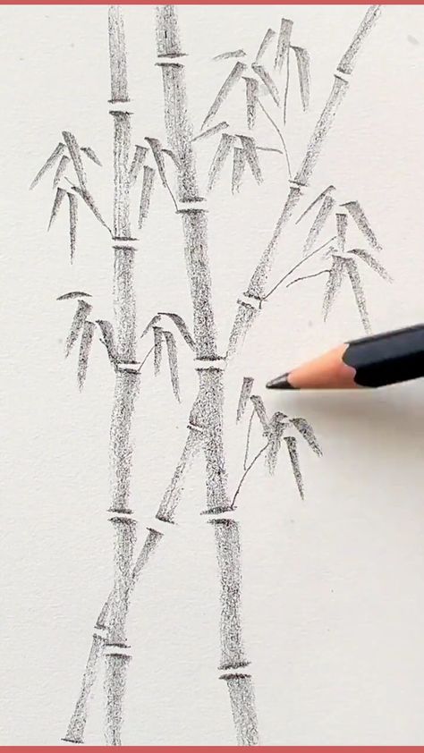 Simple Tree Drawing Sketches, How To Draw Bamboo Step By Step, Simple Creative Drawings, Bamboo Pencil Drawing, How To Use Sketch Pencils, Painting Learning Step By Step, Pencil Sketch Tutorials Step By Step, Bamboo Drawing Sketch, How To Draw Sketches Step By Step