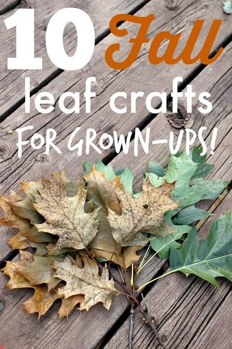 Fall leaf crafts that you'll actually want to make and display in your home! These aren't your kindergartner's leaf crafts! Fall Leaf Crafts, Fall Leaf Art Projects, Fall Traditions, Leaf Craft Activities, Leaf Art Diy, Indoor Fall Decor, Fall Crafting, Autumn Leaves Craft, Leaf Projects