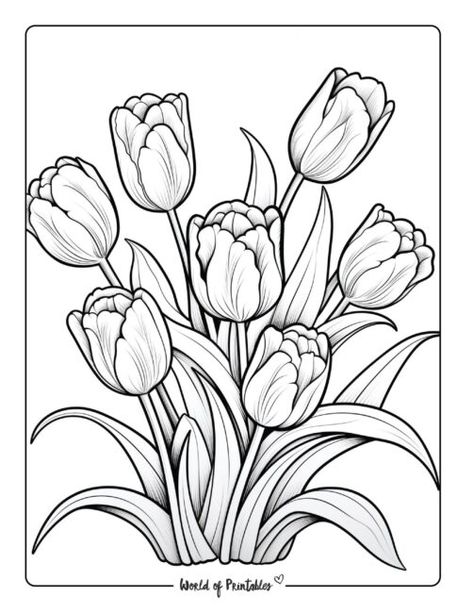 Floral Colouring Pages, Cute Flower Sketches, Printable Watercolor Coloring Pages, Flower Coloring Sheets Free Printable, Floral Coloring Pages Free Printable, Flowers To Color, Flower Outline Art, Tulip Coloring Pages, Sunflower Coloring