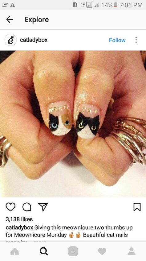 Cat Nail Designs, Cat Nail Art, Cat Nail, Animal Nail Art, Cat Apparel, Gel Powder, Neko Cat, Animal Nails, Nails For Kids