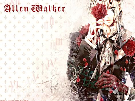 allen Allen Walker Wallpaper, D Gray Man Wallpaper, Allen Walker D Gray Man, Anime Wallpapers Desktop, D Gray Man Allen, Walker Wallpaper, Profile Picture Images, Twitter Profile Picture, Allen Walker