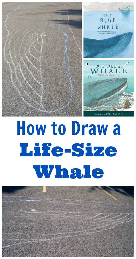 How big is a whale?  Use this outdoor science & math activity to draw a life-sized whale! Ocean Science Activities, Whale Craft, Ocean Mammals, Outdoor Science, Ocean Zones, Big Blue Whale, Snail And The Whale, Timmy Time, Sea Activities