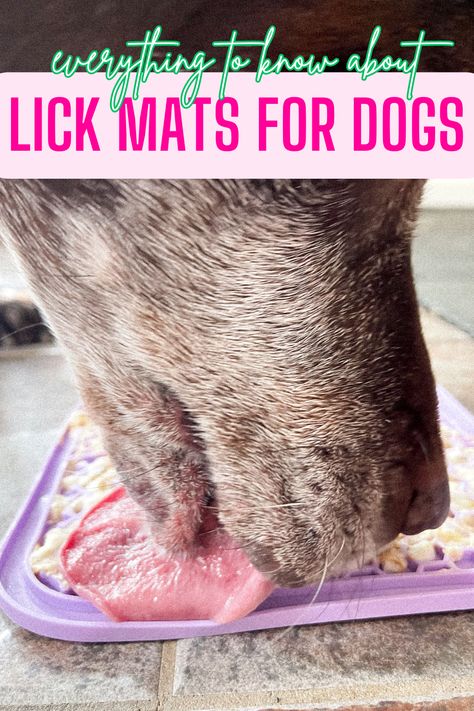 What To Know About Lick Mats For Dogs What To Put On Lick Mats, Homemade Lick Mat For Dogs, What To Put On A Lick Mat For Dogs, Lick Mat Recipes, Dog Enrichment Lick Mat, Dog Lick Mat, Apple Slices, Canned Pumpkin, Ripe Banana