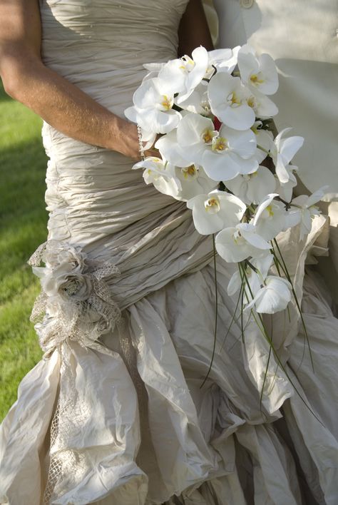 Simple orchid cascade bouquet Cream Wedding Flowers, Wild Wedding, Orchid Bouquet, Ibiza Wedding, Cream Wedding, Cascade Bouquet, Wedding 2024, Beautiful Bouquet, Wedding Dress Styles