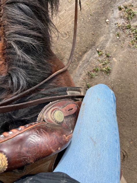 Horseback Riding Western, Horse Back Riding Aesthetic Western, Western Trail Riding, Trail Ride Aesthetic, Horse Ranch Aesthetic, Western Riding Aesthetic, Western Horse Riding Aesthetic, Mule Riding, Ranch Life Aesthetic