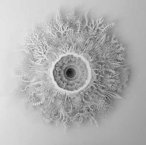 rogan brown intricately cuts-out coral garden capturing nature's fragility Art Connection, Laser Cut Paper, Organic Structure, Coral Art, Coral Garden, Ceiling Art, Paper Sculptures, Public Sculpture, The Coral