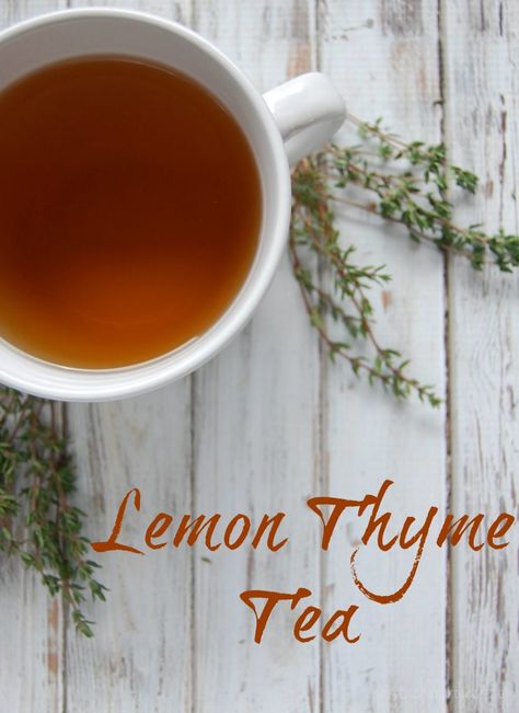 Lemon Thyme Tea - A great tea for coughs, colds, congestion. Safe for adults and kids! Tea For Cough, Thyme Tea, Tea For Colds, Diy Easy Recipes, Lemon Thyme, Herbal Teas Recipes, Healthy Teas, Cold Remedies, Wild Food