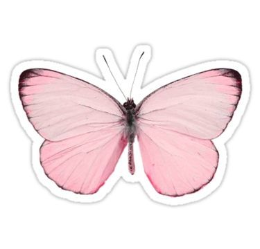 Pink Butterfly Sticker, Stickers Cool, Butterfly Printable, Tumblr Stickers, Scrapbook Stickers Printable, Butterfly Drawing, Butterfly Nail, Bullet Journal Stickers, Beautiful Stickers