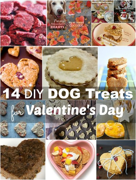 Valentine's Day Treats, Easy Dog Treats, Healthy Dog Treats Homemade, Dog Diy, Strawberry Hearts, Dog Treats Homemade Recipes, Gourmet Dog Treats, Honey Oats, Diy Dog Treats