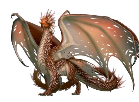 Ancient Copper Dragon - Pathfinder PFRPG DND D&D 3.5 5E 5th ed d20 fantasy Kobold Press, Dragon Poses, Dragon Character, Types Of Dragons, Dragon Ideas, Copper Dragon, Beast Creature, Cool Dragons, Here Be Dragons