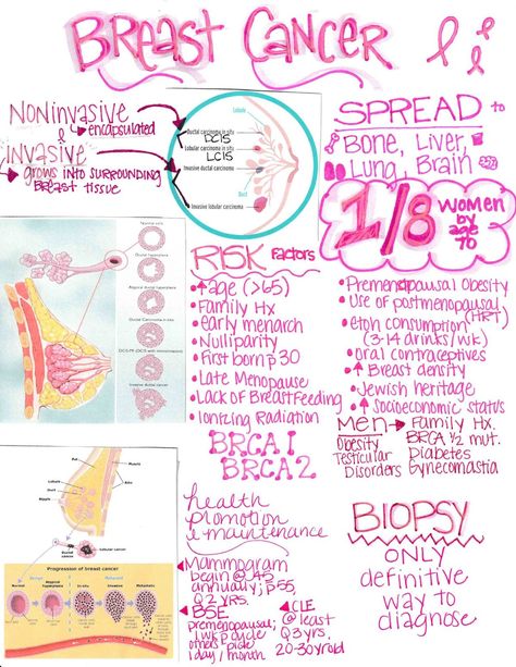 Oncology Emergencies Nursing, Oncology Nursing Notes, Chemo Nurse, Medical Assistant Student, Nursing School Essential, Oncology Nurse, Nursing Study Guide, Medicine Notes, Basic Anatomy And Physiology