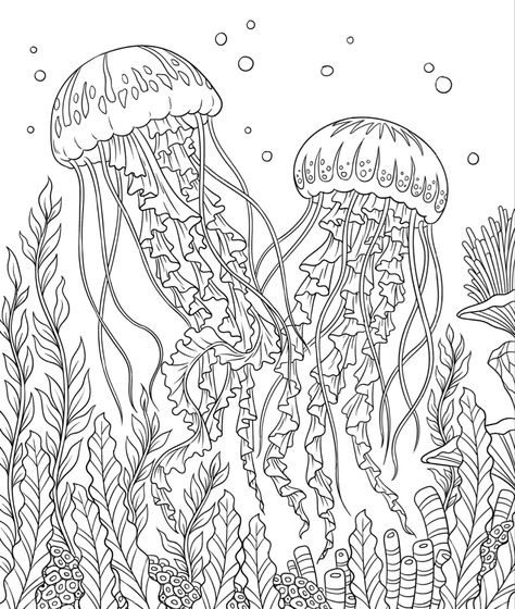 Coloring page Jellyfish Colouring Page, Aquarium Coloring Page, Watercolor Pages, Ocean Colouring Pages, Free Printable Coloring Pages For Adults Colouring Sheets, Ocean Coloring Pages For Adults, Jellyfish Coloring Page, Under The Sea Drawings, Planet Coloring Pages