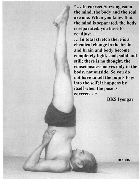 Bks Iyengar Quotes, Bks Iyengar Yoga, Iyengar Yoga Poses, Kundalini Yoga Poses, Hata Yoga, Bks Iyengar, Yoga Ashtanga, Yoga Facts, Ashtanga Vinyasa Yoga