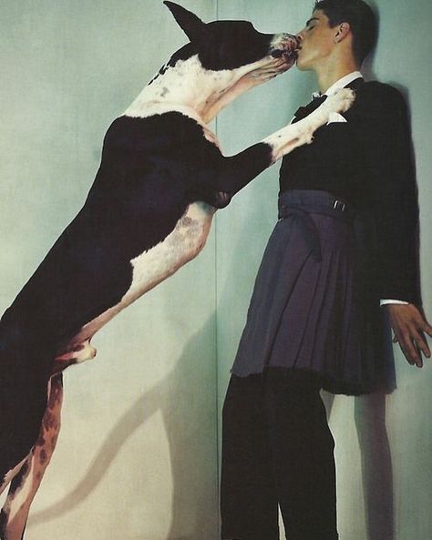 Steven Klein, A Dog, A Man, Vogue, Wall, Blue