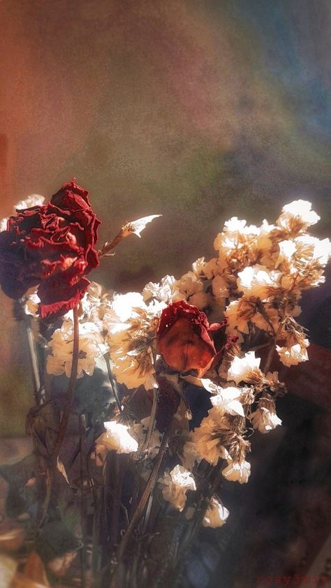 Aesthetic Red Flowers Wallpaper, Dusty Rose Aesthetic Pictures, Dark Red And Pink Aesthetic, Wilted Flowers Aesthetic Dark, Dark Rose Aesthetic Wallpaper, Blood Roses Aesthetic, Wilting Flowers Aesthetic, Wilted Rose Aesthetic, Red Flowers Aesthetic Wallpaper