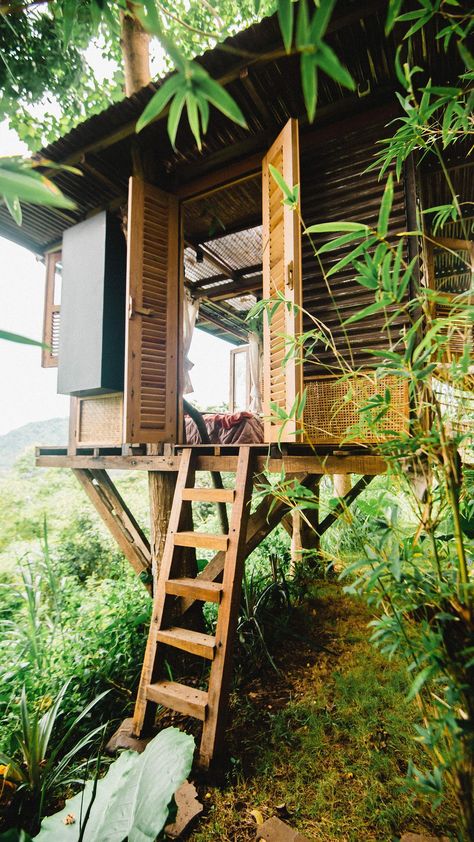 birdhills_bali on Instagram: How to make treehouse? Bamboo Treehouse, Tiny Eco House, Rustic Treehouse, Treehouse Inspiration, Organic Building, Farm Cabin, Bungalow Cottage, Off Grid House, Treehouse Cabins