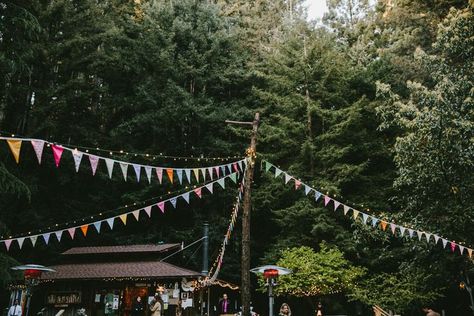 Henry Miller Library, Henry Miller, Wedding Mood, Big Sur